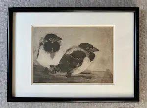 Jan Mankes - Originele Heliogravure - 2 Jonge Eksters 1923 kopen? Bied vanaf 120!