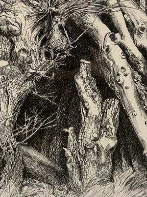 Patrick Creyghton - boomstronken kopen? Bied vanaf 49!