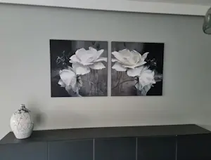 Willem Haenraets - Witte rozen I kaufen? Bieten Sie von 159!