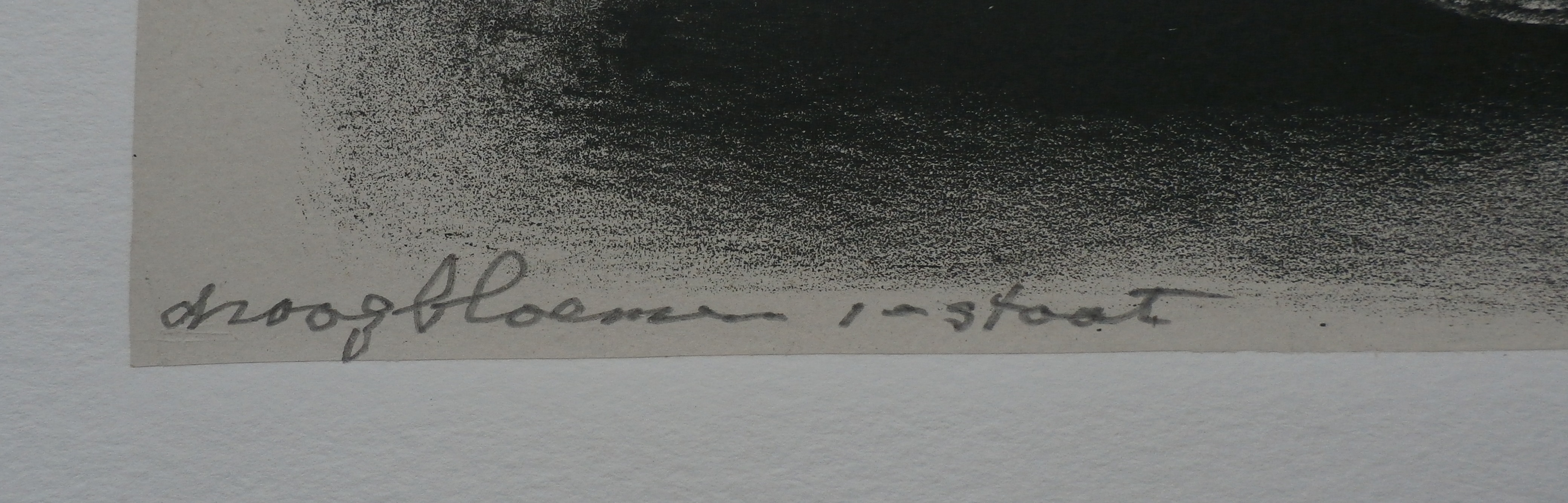 Aart van Dobbenburgh - litho: droogbloemen - 1975 kopen? Bied vanaf 45!