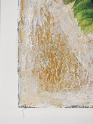 Starlie Sokol-Hohne - Druiventros kopen? Bied vanaf 1!