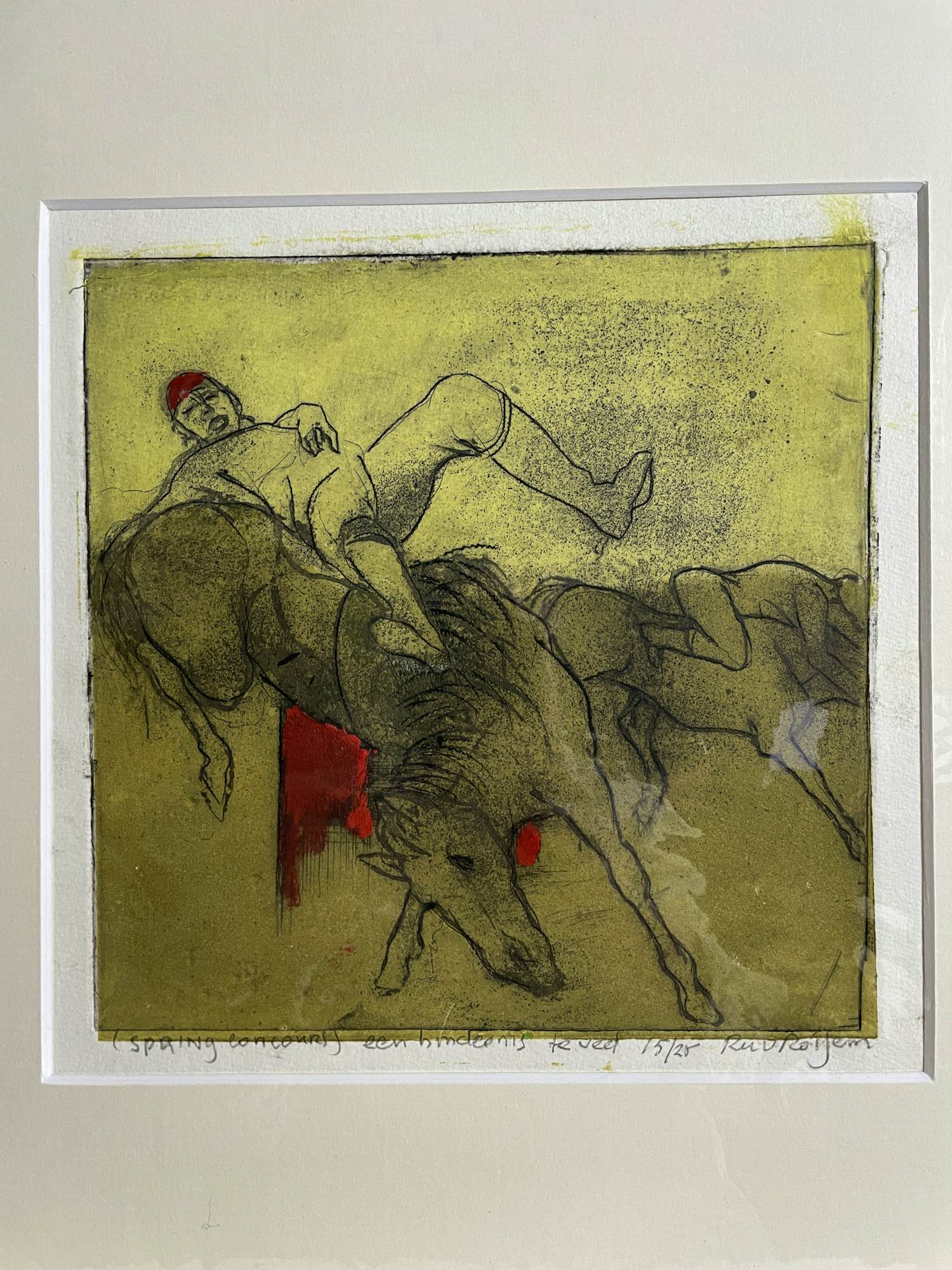 Ru van Rossem - Spring Concours, een hindernis te veel kopen? Bied vanaf 95!