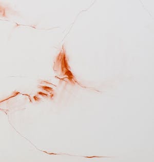 Jacqueline Oblin - Femme nue couchée IV kopen? Bied vanaf 1!