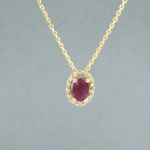 14k gouden collier met hanger bezet met robijn en briljant geslepen diamant kopen? Bied vanaf 220!