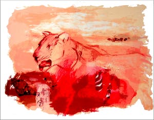 Lydia van Domburgh - Observatie kopen? Bied vanaf 30!