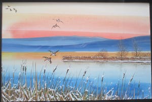 Ari Stolk - Gekleurd winterlandschap kopen? Bied vanaf 25!