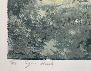 Hans Dolieslager - kleurenzeefdruk - 'November' - 1992 kopen? Bied vanaf 75!