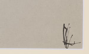 Melle Oldeboerrigter - Inkttekening op geschept papier, Vissen kopen? Bied vanaf 100!