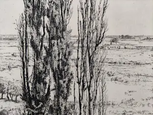Buy Jan Coenraad Nachenius - De Rijn vanaf de Wageningse Berg? Bid from 40!