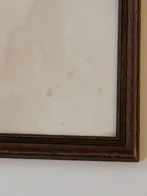 Tijmen Moll - Portret van een uil kopen? Bied vanaf 125!