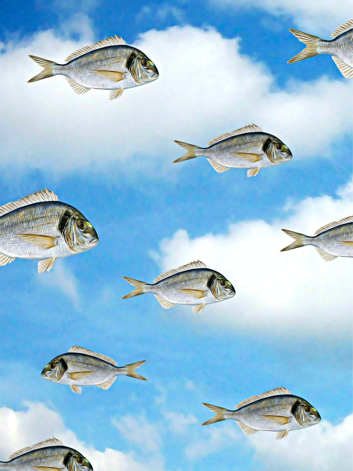 Mr. Strange - A Contre-courant! verkocht voor € 100!