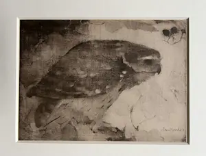 Jan Mankes - Originele Heliogravure Roofvogel op Tak 1923 kaufen? Bieten Sie von 165!