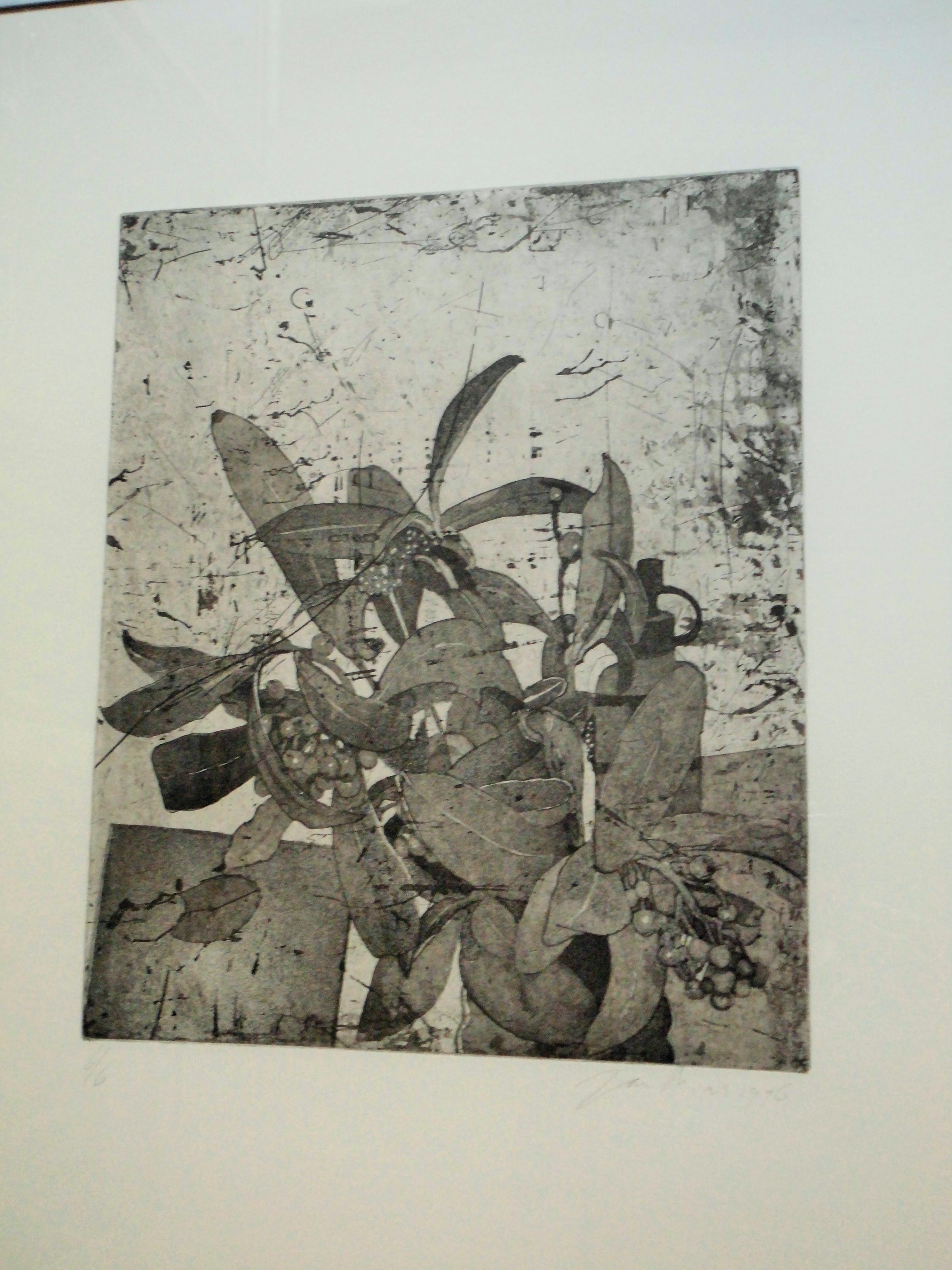 Jan Prins - Grafiek - Planten kopen? Bied vanaf 35!