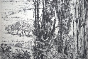 Jan Coenraad Nachenius - ets - Gezicht op de Rijn vanaf de Wageningse berg kopen? Bied vanaf 40!