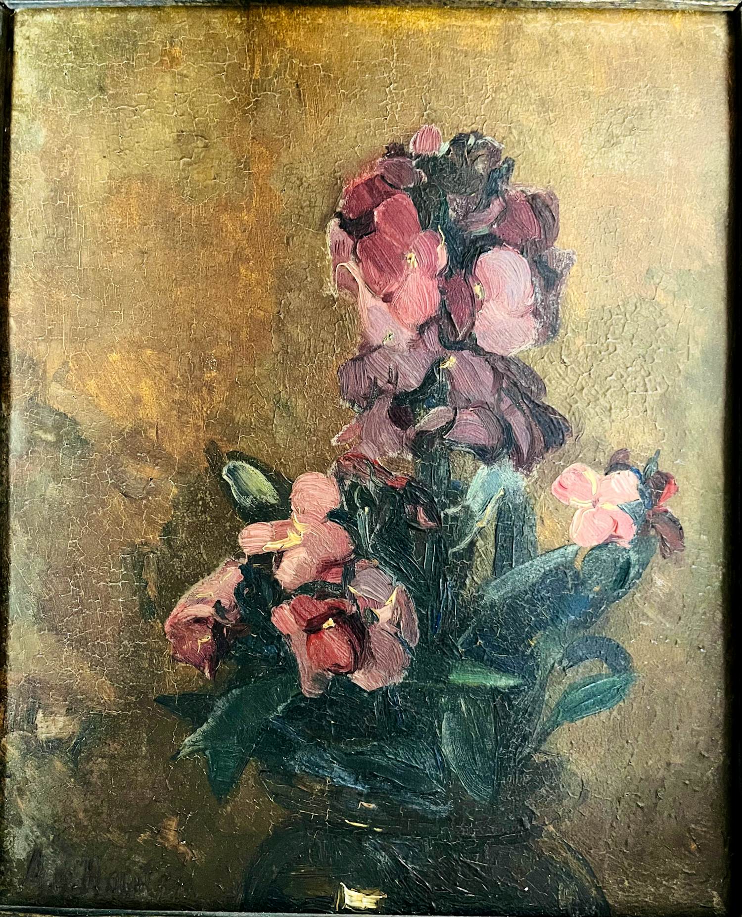 Alida van Houten - Paarsche Muurbloem kopen? Bied vanaf 200!