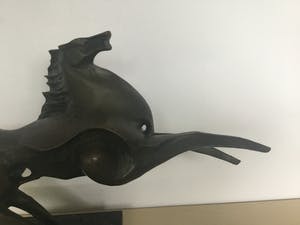 Brons (Onbekend) - Paard kopen? Bied vanaf 60!