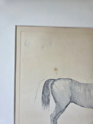 AcheterAat Verhoog - Paard? Enchérissez de 50!