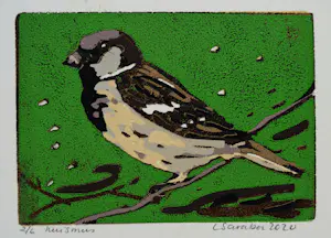 Lenneke Saraber - 3 linosnedes kopen? Bied vanaf 55!