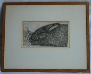 Arja van den Berg - Ets , Konijn – gesigneerd & ingelijst – 1971 kopen? Bied vanaf 10!