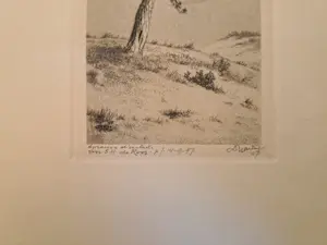 Dirk Harting - 'Boom' kopen? Bied vanaf 20!