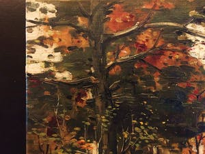 Janus Sibens - Boslandschap kopen? Bied vanaf 50!