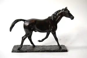 Irénée Rochard - Paard in draf kopen? Bied vanaf 2000!