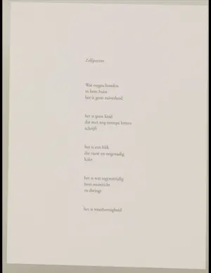 Roger Raveel - Portret van de dichter kopen? Bied vanaf 450!