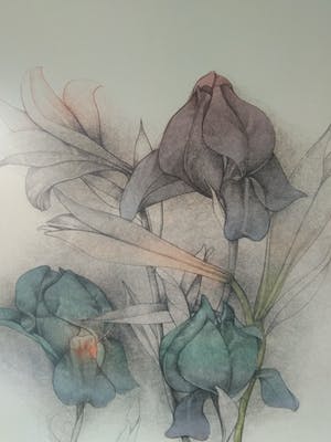 Bruno Bruni - Serie Florilegium (3 werken) kopen? Bied vanaf 120!