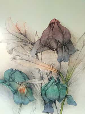 Bruno Bruni - Serie Florilegium (3 werken) verkocht voor € 120!