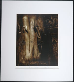 Vladimir Zidlicky - Foto, Zonder titel kopen? Bied vanaf 20!