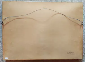 Adrianus Miolee - Boerderij in landschap kopen? Bied vanaf 100!