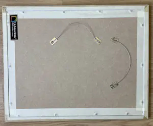 Corneille - Le joyeux insecte de la négresse. kopen? Bied vanaf 125!