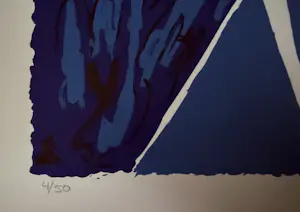 Maartje Wijngaarden - “geabstraheerd portret”. Handgesigneerd en genummerde zeefdruk. kopen? Bied vanaf 35!