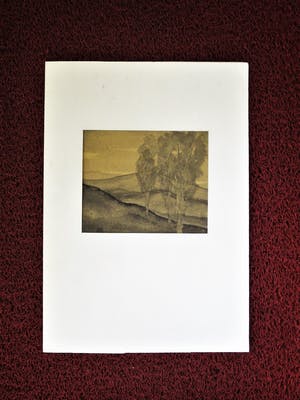 Willem van den Berg - Originele Inkttekening - Karakteristiek verstild Landschap - vanaf 1€ ! kopen? Bied vanaf 1!