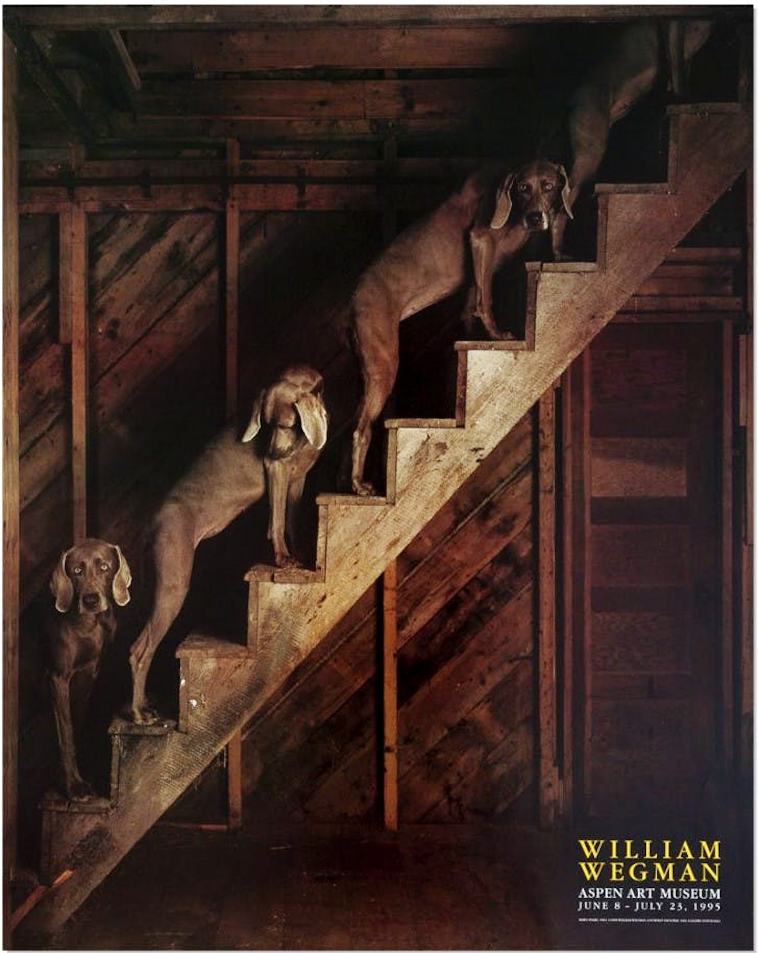 William Wegman - Zeldzame Tentoonstelling Poster - "Barn Stairs" - Aspen Art Museum kopen? Bied vanaf 40!