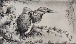 Jan Schonk - Twee ijsvogels verkauft für € 50!