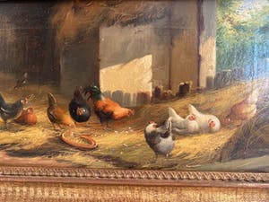 Jef Van Leemputten - Kippen in de staal kopen? Bied vanaf 400!