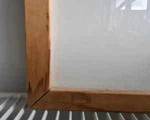 Maya Wildevuur - Klaprozen kopen? Bied vanaf 250!