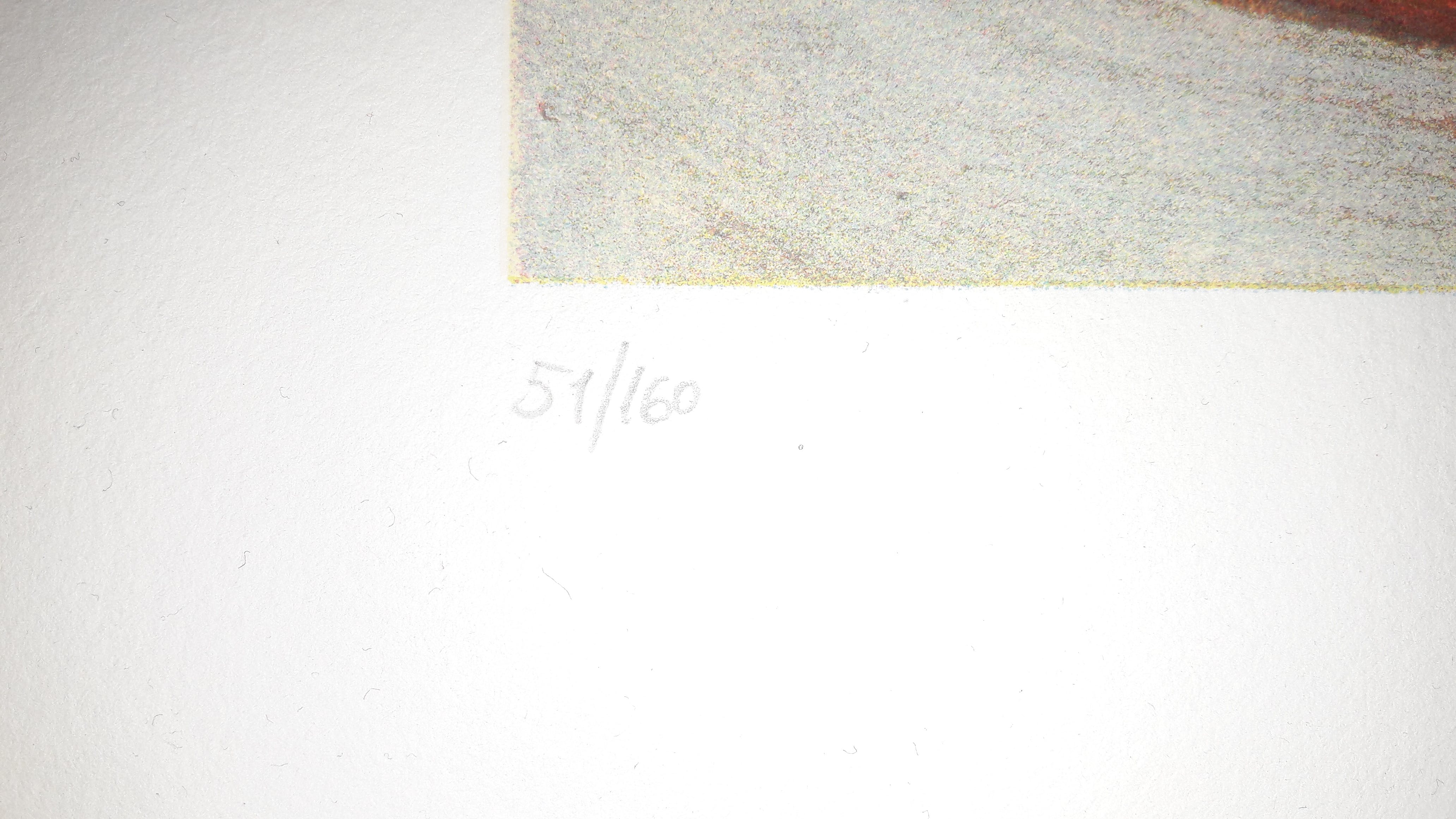 Jan te Wierik - Gesigneerde zeefdruk - 2002 !!! kopen? Bied vanaf 145!