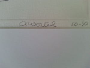 Ans Wortel - Bij `t raam in de straat waar ze gaan kussen donker en donker...... kopen? Bied vanaf 30!