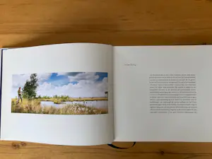 Siemen Dijkstra - Dwingelderveld In Transit kopen? Bied vanaf 45!