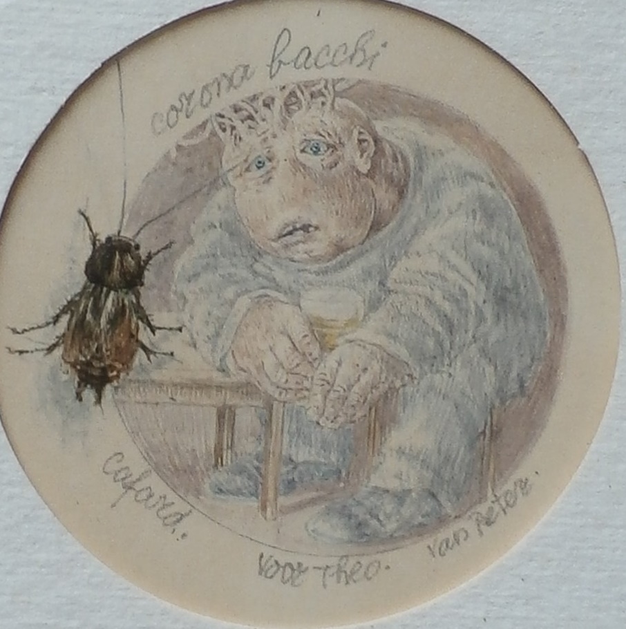 Peter Vos - ronde ingelijste tekening(kleurpotlood en inkt): Corona bacchi verkocht voor € 150!