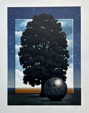 Michael Hasted - The light of Discovery kopen? Bied vanaf 30!