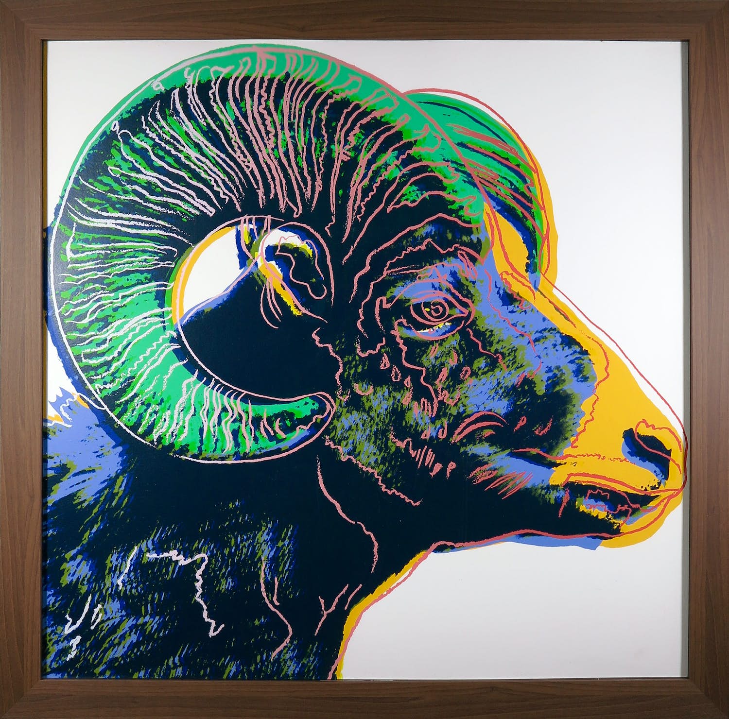 Andy Warhol - Bighorn Ram uit de serie Endangered Species - Ingelijst (Groot) verkocht voor € 1!