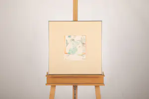 Wout Muller - Did you see? kopen? Bied vanaf 50!