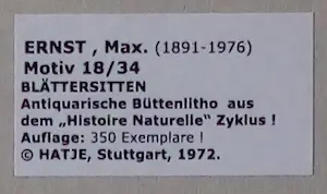 Max Ernst - Litho - Histoire Naturelle - "Motiv 18" - Beperkte oplage - 1972. kopen? Bied vanaf 50!