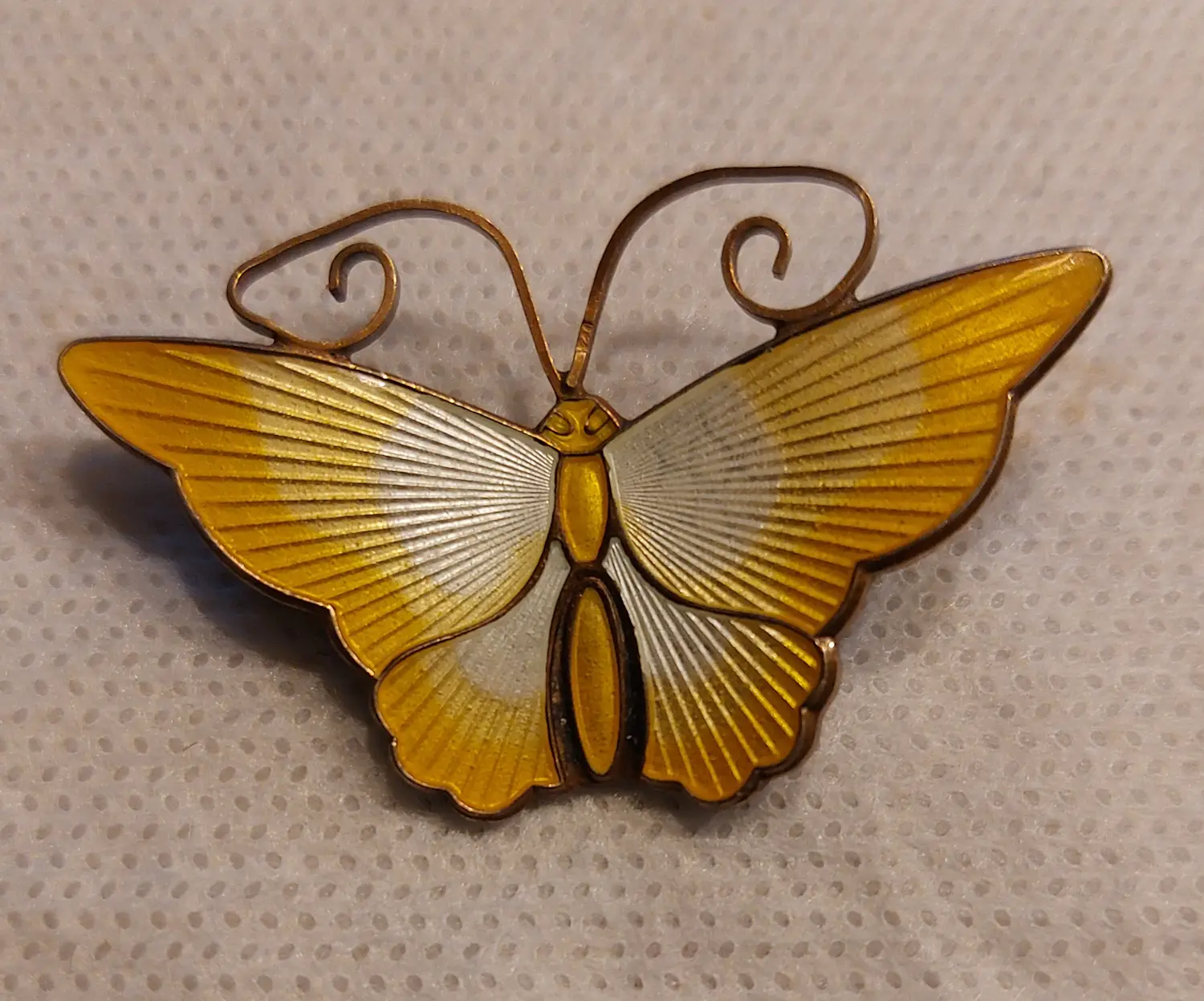 David-Andersen (1876)