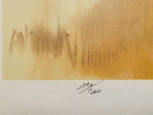 Pierre Letellier - Ballerinas kopen? Bied vanaf 15!