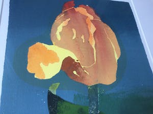 Marjan Jaspers - Gele Tulp | Zeefdruk (ingelijst) - kleine oplage kopen? Bied vanaf 50!