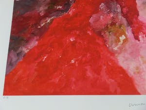 Armando - Rotes Gewand (Rood gewaad), Giclee op katoenpapier. Sublieme kleuren! kopen? Bied vanaf 100!